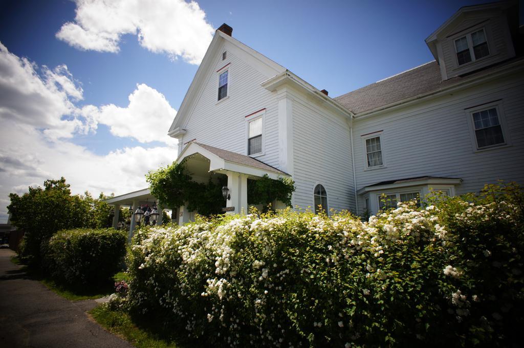 Inn On Frederick St. Andrews By The Sea Exterior foto